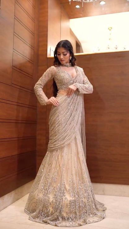 SAREE WITH LONG SLEEVES BLOUSEIN