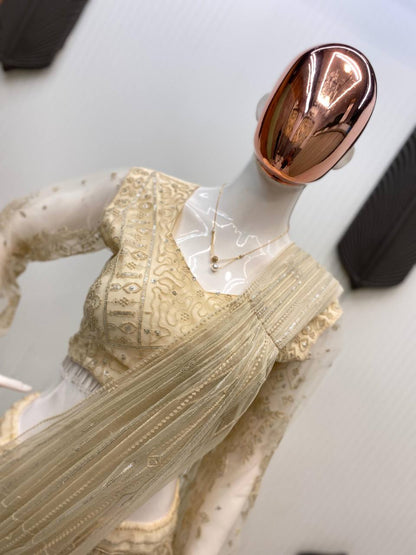 SAREE WITH LONG SLEEVES BLOUSEIN