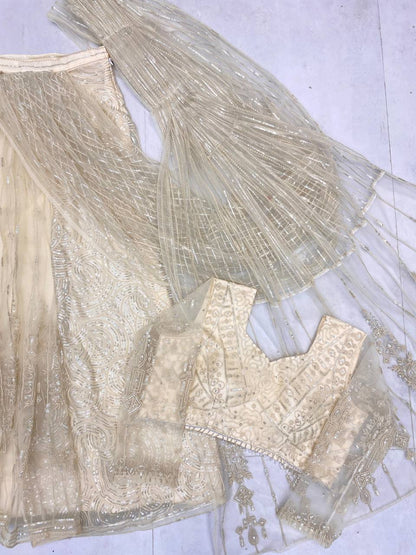 SAREE WITH LONG SLEEVES BLOUSEIN